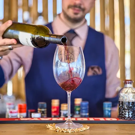 Alia Beachfront And 5*